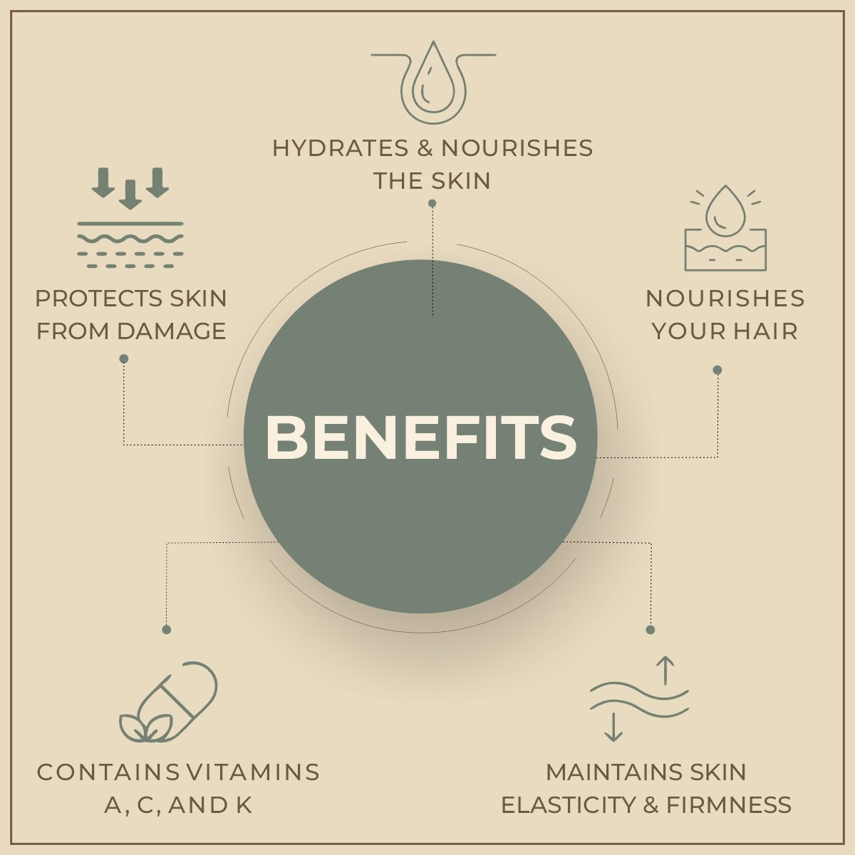 Shoprythm Natural Carrier Oils Hazel Nut (Corylus) Oil 100% Natural Pure Carrier Oil Shoprythm Natural Carrier Oils Hazel Nut (Corylus) Oil 100% Natural Pure Carrier Oil